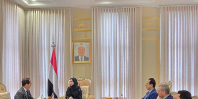 Minister of Planning Discusses Strengthening Development Cooperation with Japanese Ambassador