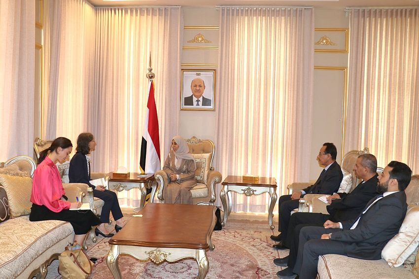 Minister of Planning Discusses Strengthening Cooperation and Coordination of Development Projects with French 