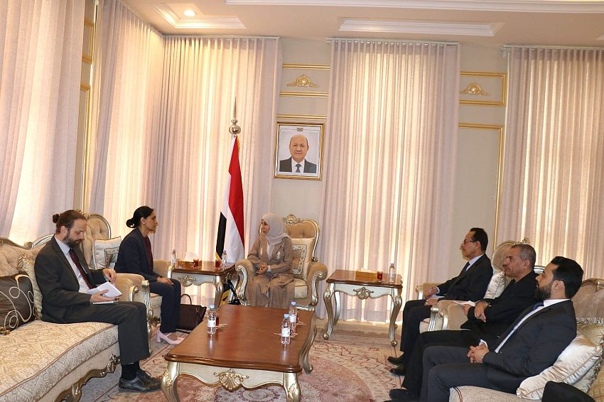 Minister of Planning Discusses Strengthening Development and Institutional Partnership with British 