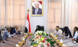 Planning Minister discusses with UN official the activation of coordination mechanisms to support development and recovery priorities