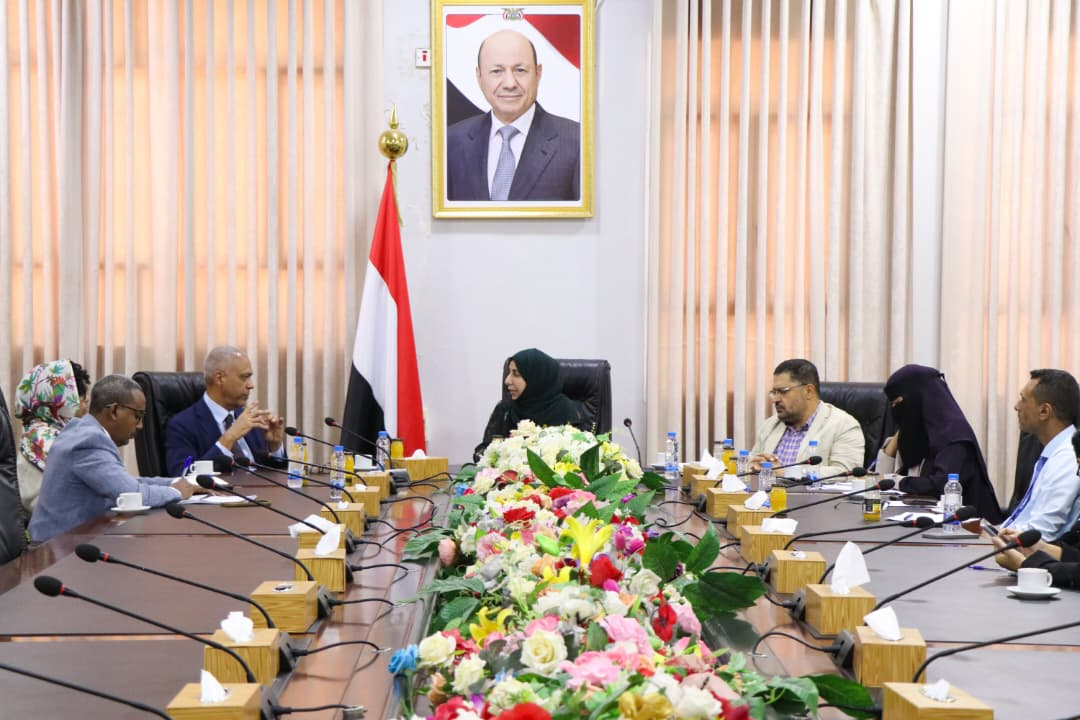 Planning Minister discusses with UN official the activation of coordination mechanisms to support development and recovery priorities