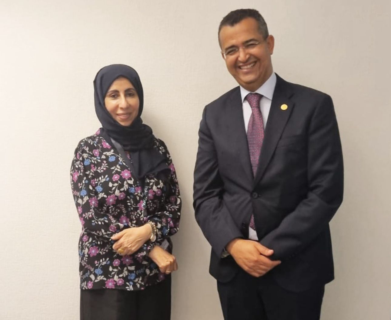 Minister of Planning Discusses Strengthening Development Cooperation with the Director of Operations at the Gulf Cooperation Council and Yemen